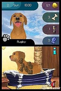 Paws Claws Best Friends   Dogs Cats Nintendo DS, 2007