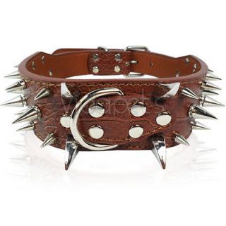 pitbull collar in Spiked & Studded Collars