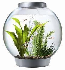   biOrb Round Aquarium Fish Tank SILVER BASE LID 11.5 x 12.5 *NIB