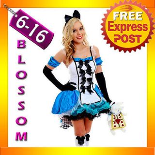   Alice In Wonderland Fancy Dress Halloween Outfit Disney Theme Costume