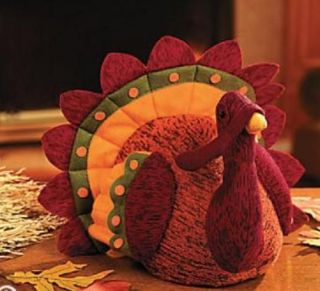   Cards & Party Supply  Holiday & Seasonal Decor  Thanksgiving & Fall