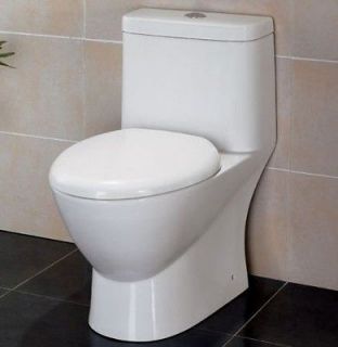 dual flush toilet in Toilets