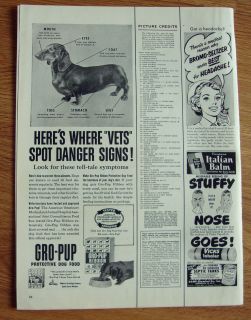 1953 Red Heart Dog Food Ad Dachshund Dog