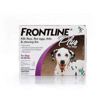 frontline flea tick in Flea & Tick Remedies