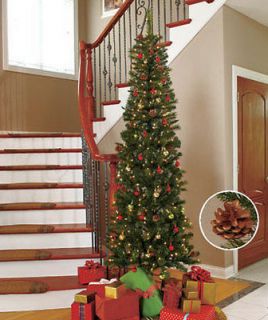 Ft Slim Pre Lit Christmas Tree   200 White Lights & 18 Pinecones