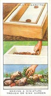 Making a Miniature Trough or Sink Garden Wills Garde