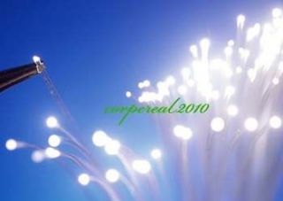 75mm Endglow light transmission PMMA Plastic fiber optic lighting 
