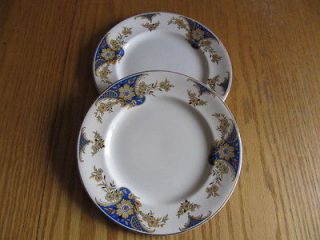 VICTORIAN, JOHNSON BROS. ENGLAND   LORNA PATTERN   TWO 8 PLATES WITH 