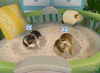 Petz Nursery 2 Nintendo DS, 2010