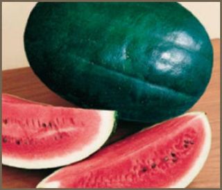 Watermelon Black Diamond 1000 seeds pk.