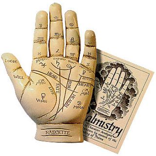 PALMISTRY HAND KIT Includes Cold Cast Resin Hand & Guide Booklet Palm 