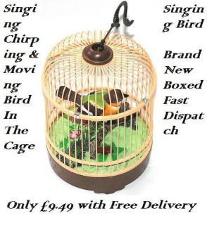 Singing Chirping & Moving Bird In The Cage Brand New