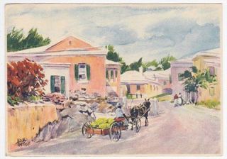Bermuda Street Scene Adolph Treidler Artist Signed Colored Postcard