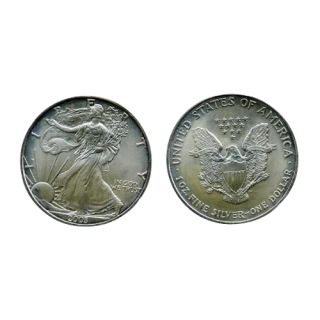 United States Silver Dollar, 2003 Bullion
