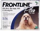 Frontline Plus, just the best solution to flea problems