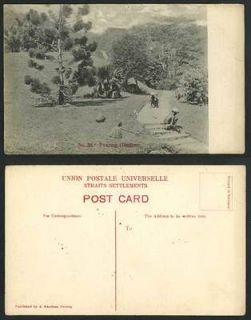 Penang Gardens Old Postcard Malaya, Gardeners at Work, Spade Steps 