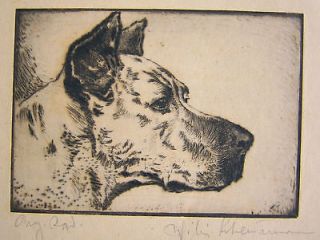 Unknown Unidentified German Great Dane Dog 1920s / Vintage