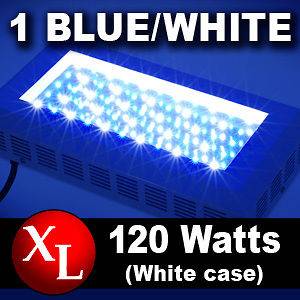 New 2012 Pro 120w LED Aquarium Coral Reef Fish Tank Light Blue White 
