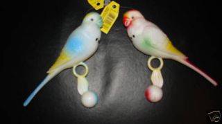 PARAKEET companion for lonely birds