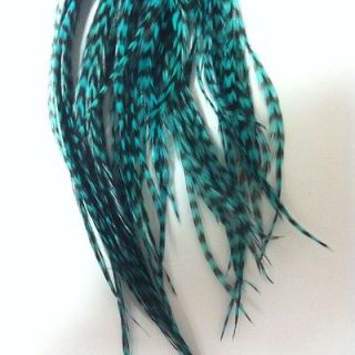 Real Grizzly Feather Hair Extensions Teal Whiting Salon
