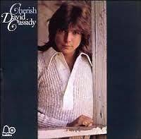 David Cassidy Cherish 33 RPM LP Record VG+