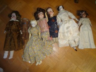 doll bodies in Dolls