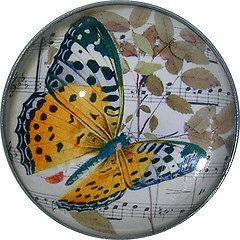 Crystal Dome Button Butterfly on Leaf w/Music BUG7