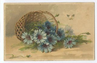art Catherine KLEIN Flower original 1900s postcard a28