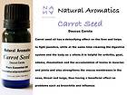 Carrot Seed Pure Essential Oil, Cobalt Blue Bottle by Natural 
