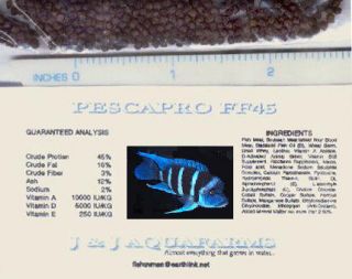 FF45b 11# FLOAT/SINK African cichlid fish food 45% 1/16 tetra angel 