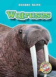 Walruses by Colleen A. Sexton and Colleen Sexton 2007, Hardcover 