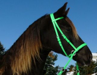 The GENUINE DR COOK BITLESS BRIDLE in BRIGHT BETA COLORS (Choose size 