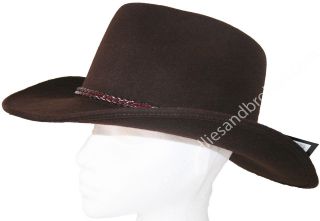   Wool Felt Stetson Hat. Wide Brim Cowboy Hat with Plaited Leather Band