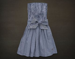NEW 2012 HOLLISTER S SMALL MOOR PARK PRETTY NAVY CHECKED DRESS by 