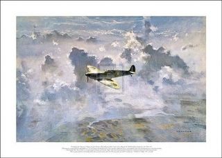 Gerald COULSON Lone Spitfire aviation PLANE world WAR