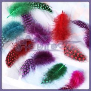 50 Lot Loose Guinea Fowl Feathers Mixed Colors for Mask Costume Fan 