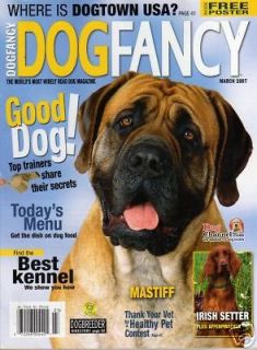 Dog Fancy magazine 2007 Mastiff Irish Setter Affenpinscher American 