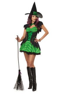Hocus Pocus Wicked Witch Adult Costume SizeLarge