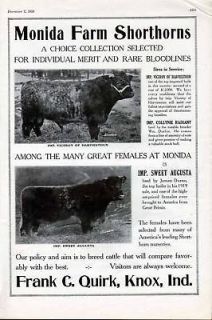 FP 1920 MONIDA SHORTHORN HARVIESTOUN AUGUSTA FRANK QUIRK