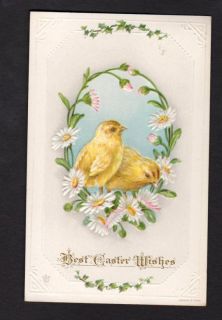 Easter Postcard white and pink daisies form wreath around chicks 1914
