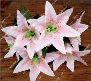 6pcs Pink Tiger Lily Artificial Silk 6 Flower Heads Wedding Arch 
