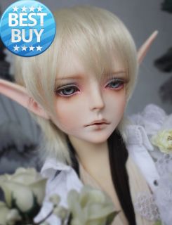 EVAN   Doll Leaves 1/3 male SUPER DOLLFIE size bjd SD Ball Jointed 