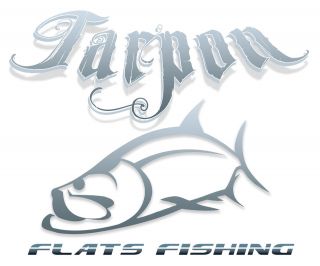 Tarpon fishing T shirt,salt,fis​h t shirt,saltwate​r fishing,flats 