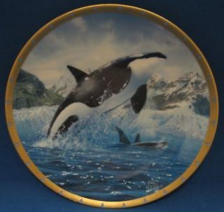 Orca Whale Conservation Plate Jarrett Holderby Lenox US