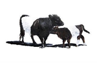 Mum & Babe Beltie  Belted Galloway Cows Limited Edition Print by Liz 