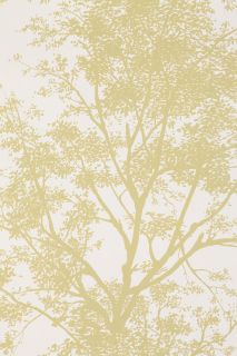 Tree Shadow Wallpaper   Urban Outfitters