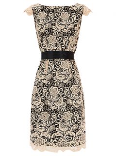 Buy Coast Alice Lace Dress, Neutral online at JohnLewis   John 