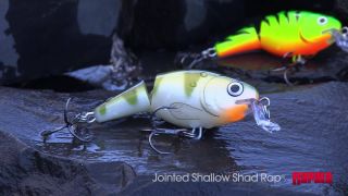 Cabelas Rapala® Jointed Shallow Shad Rap®