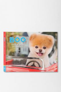 Boo Little Dog In The Big City By J.H. Lee   Urban Outfitters