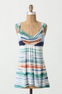 Sagebrush Striped Tank   Anthropologie